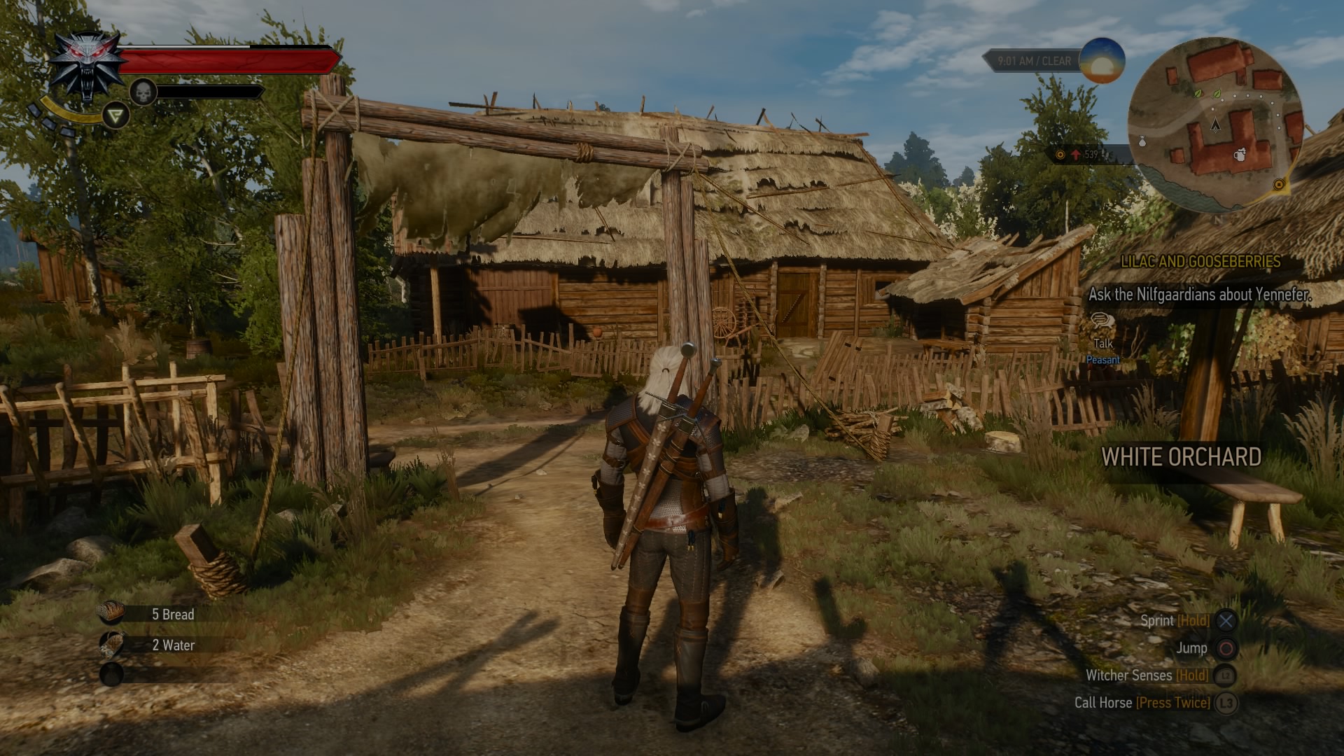 The Witcher Wild Hunt Video Game Sony PS4