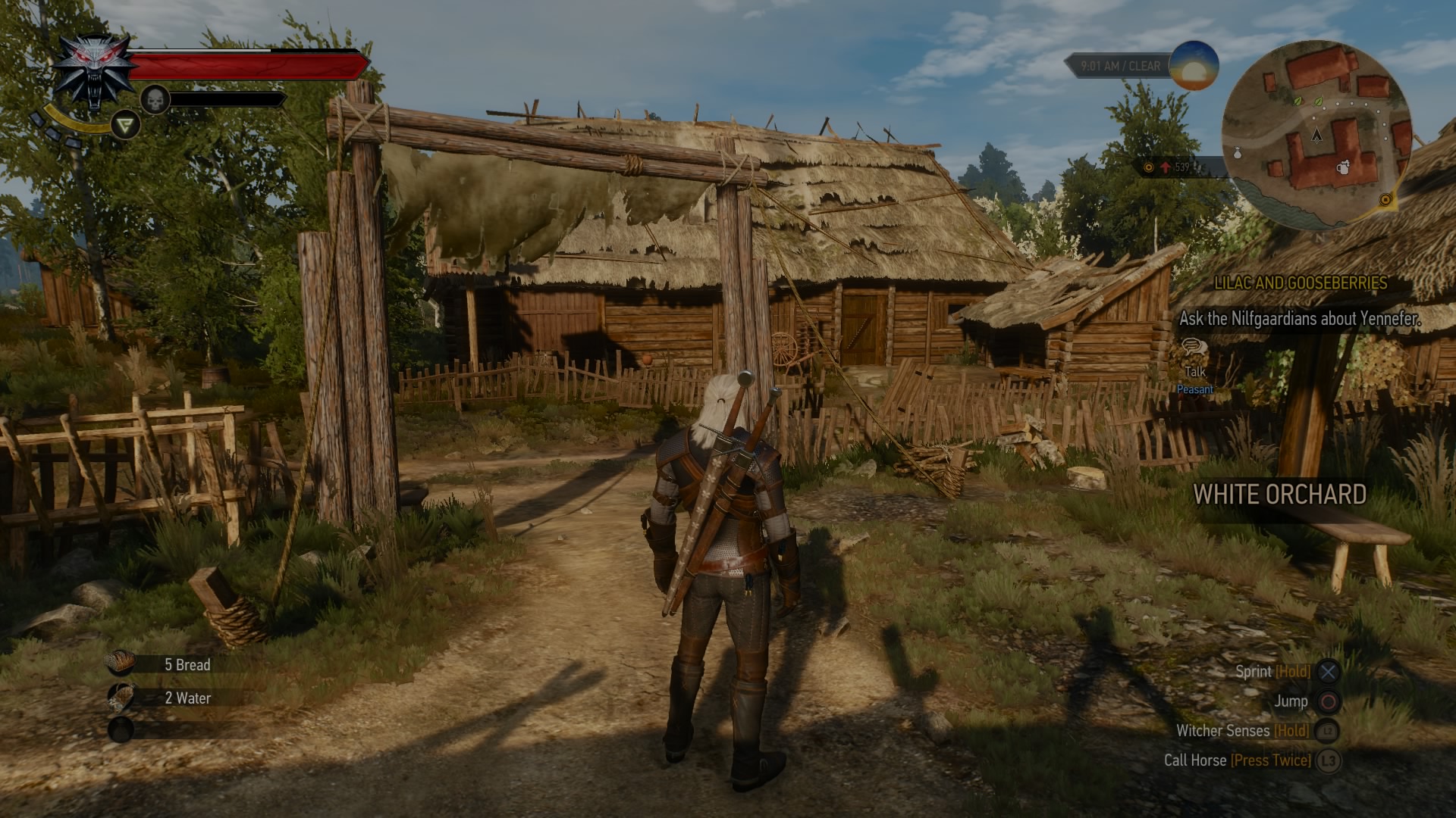 The Witcher 3: Wild Hunt - PlayStation 4 [video game]